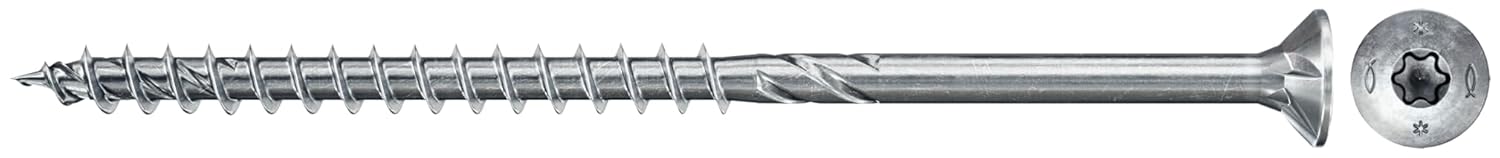 Fischer Meister-Box SX+Schrauben